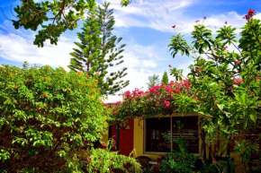 The Desoto - Oceanview Inn, Hollywood